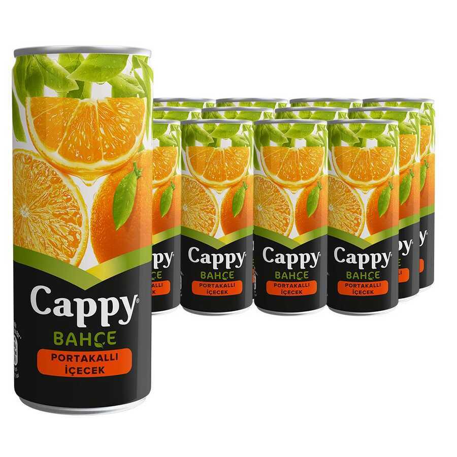 Cappy Meyve Suyu Kutu 250 ML